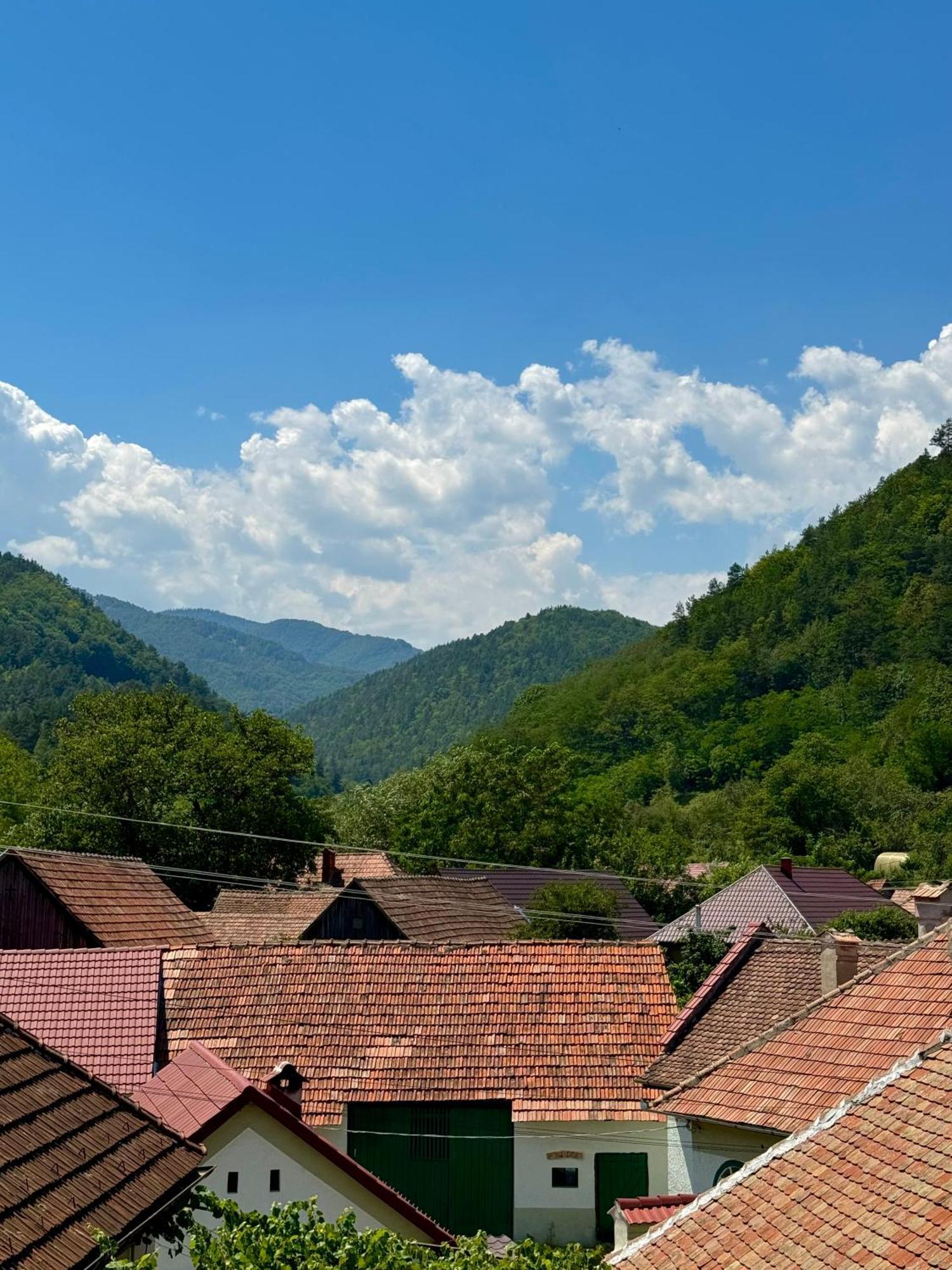 Casa Presecan Tălmaciu Екстериор снимка